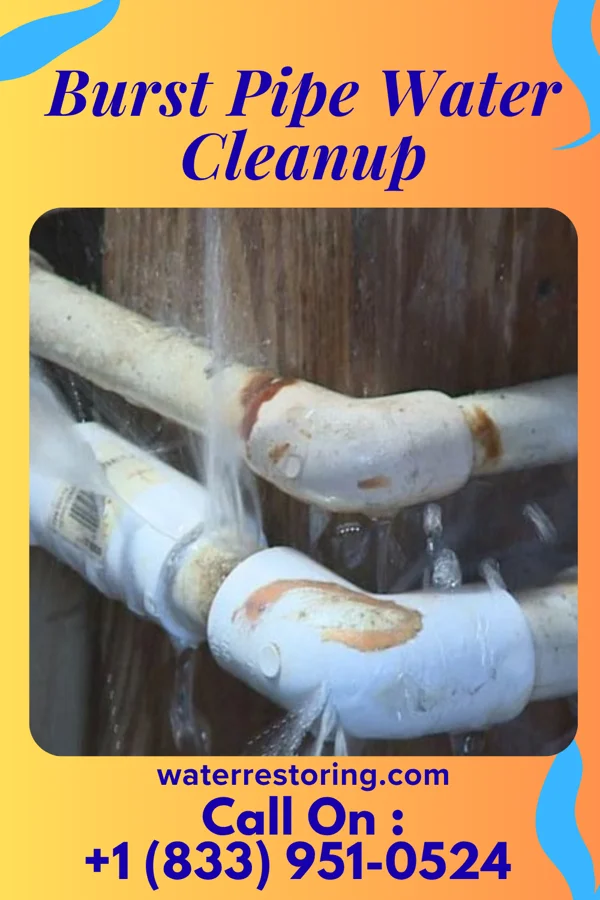 Burst Pipe Water Cleanup in Jefferson Hills, PA