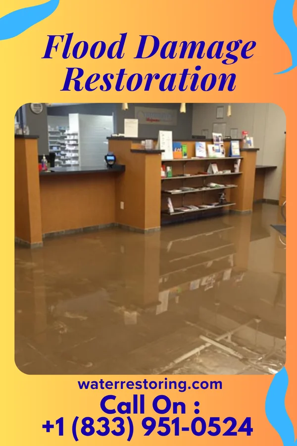 Flood Damage Restoration in Jefferson Hills, PA
