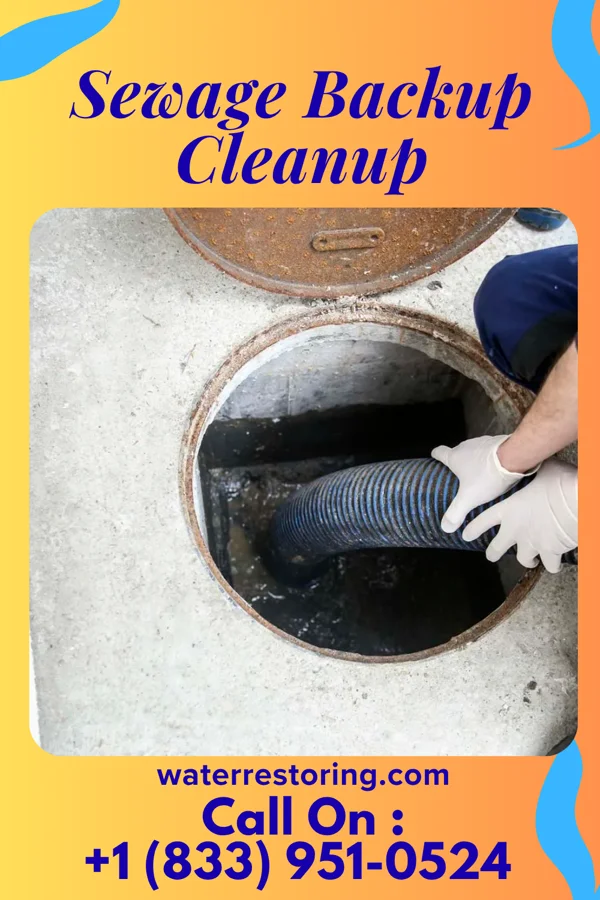 Sewage Backup Cleanup in Jefferson Hills, PA