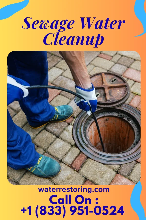Sewage Water Cleanup in Jefferson Hills, PA