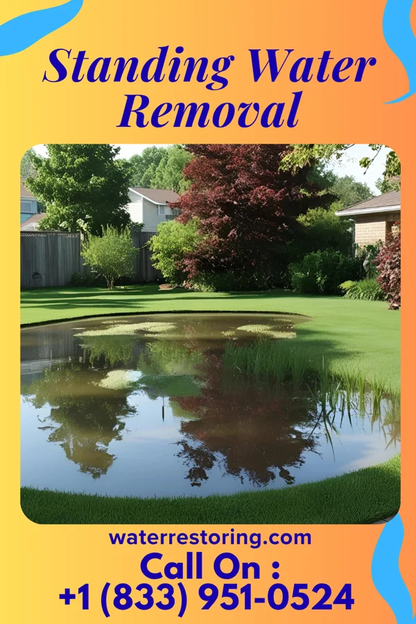 Standing Water Removal in Jefferson Hills, PA